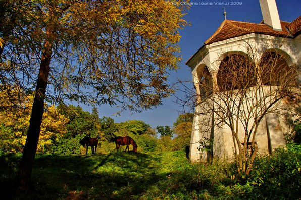 Miklósvár manor with horses by C.I. Vianu